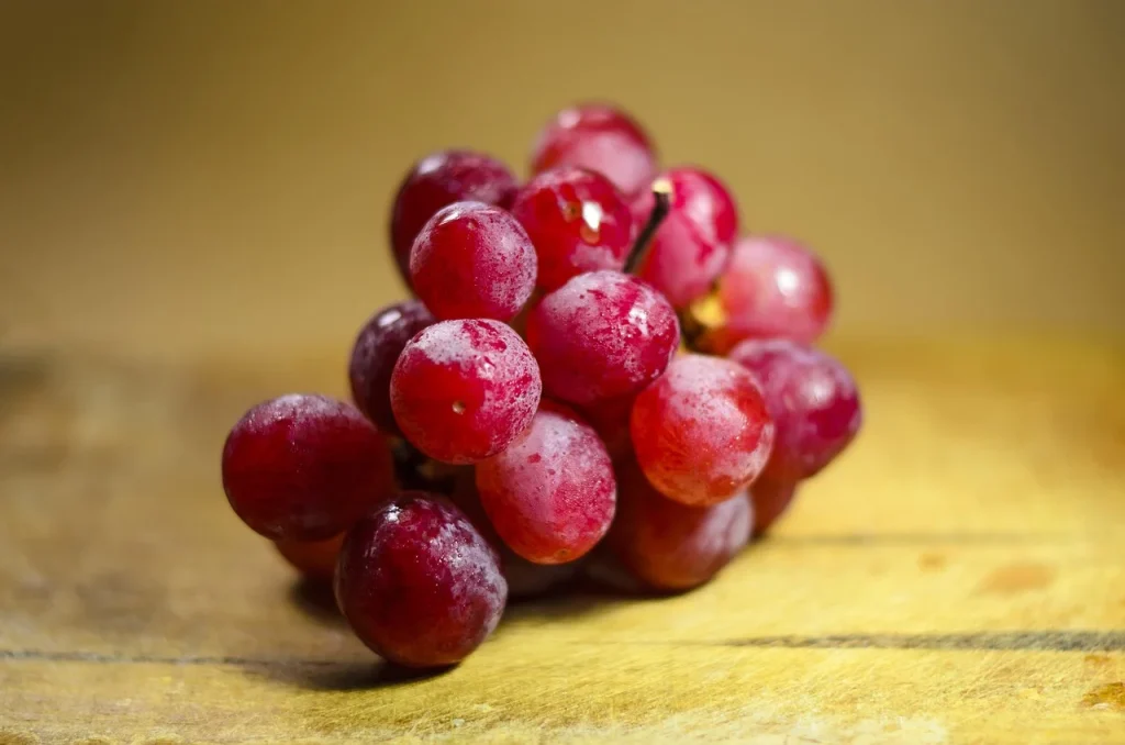 Le Strade del Vino in Calabria - un viaggio tra gusto, storia e bellezza