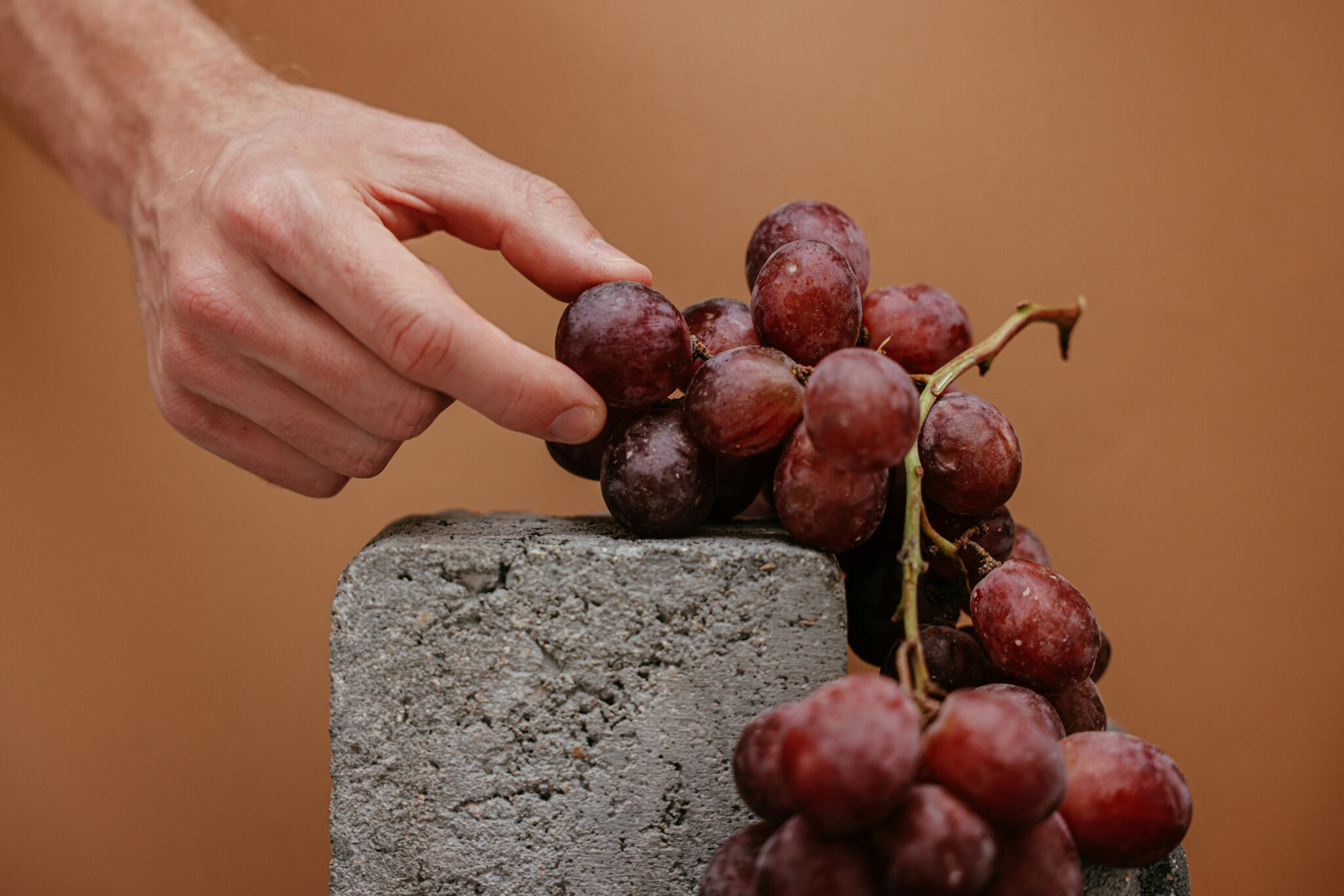 Le Strade del Vino in Calabria - un viaggio tra gusto, storia e bellezza