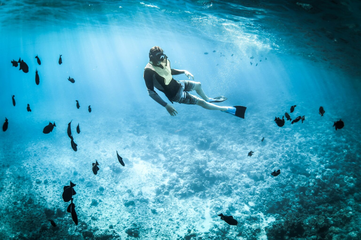 Snorkeling esplorare il mondo sommerso Airone Residence in Calabria Vicino a Tropea